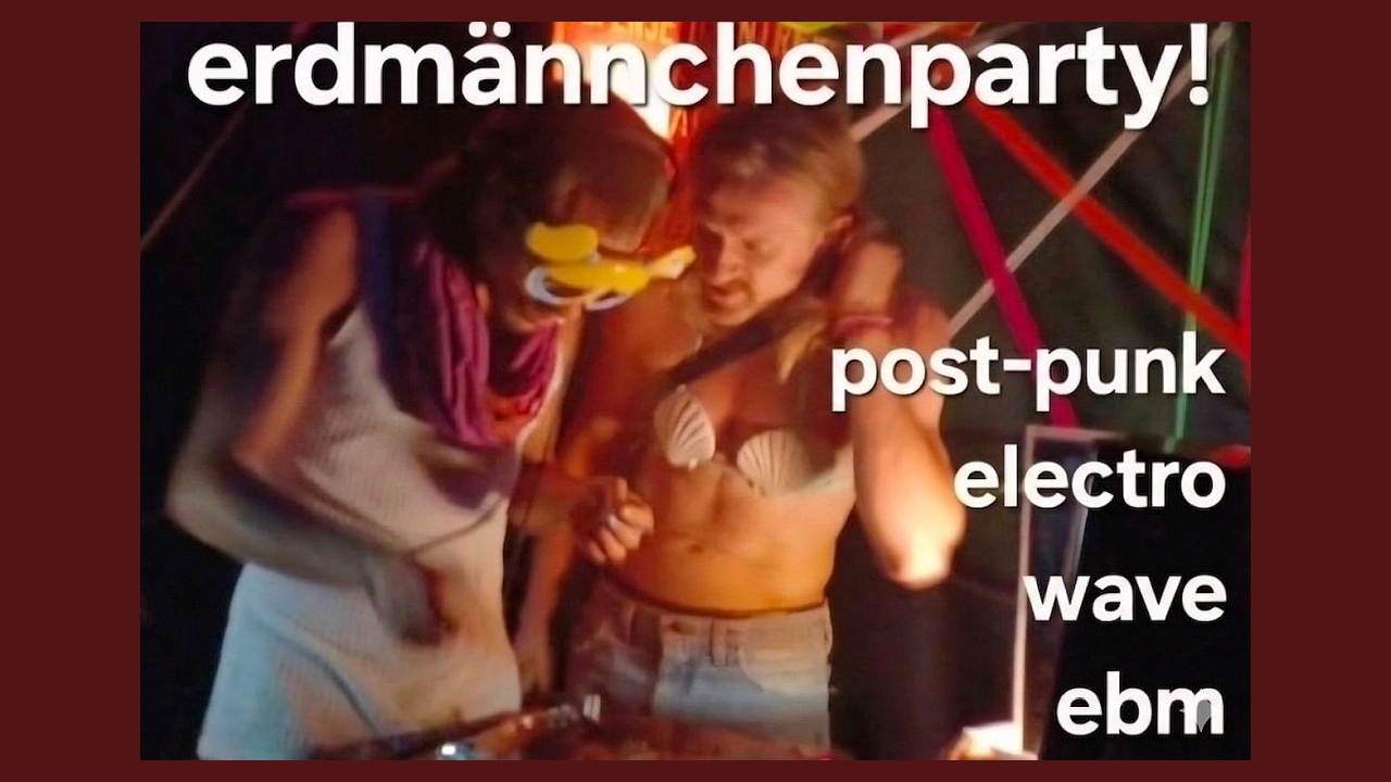 Erdmännchen Party im Blau